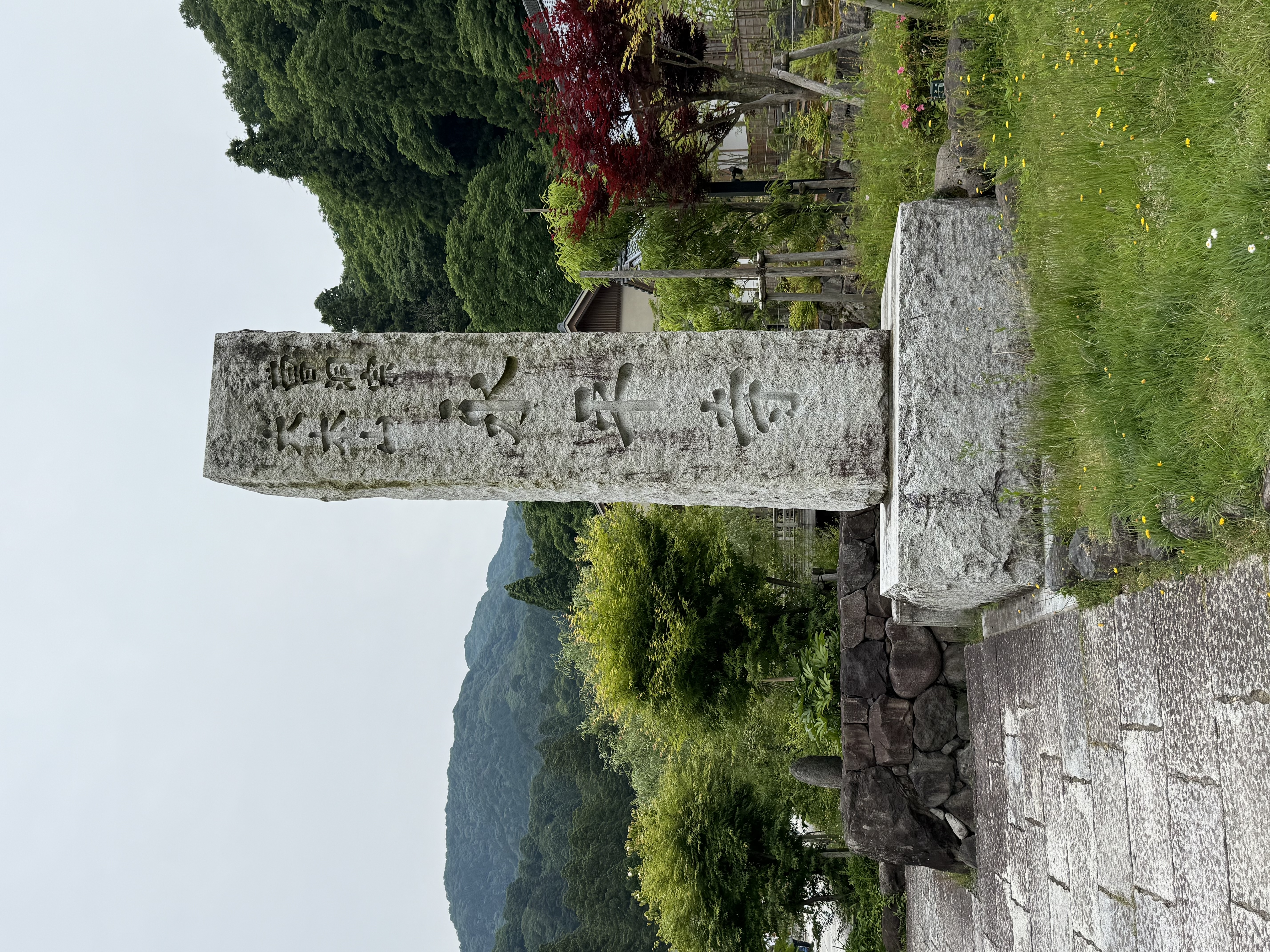 img_8006.jpg
